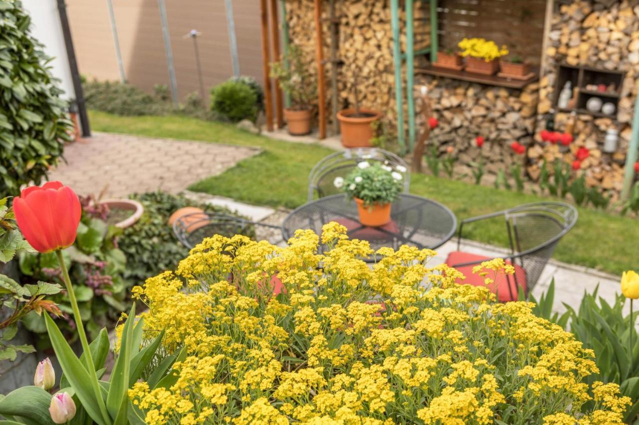 Haus Schneider Appartement Kressbronn am Bodensee Buitenkant foto
